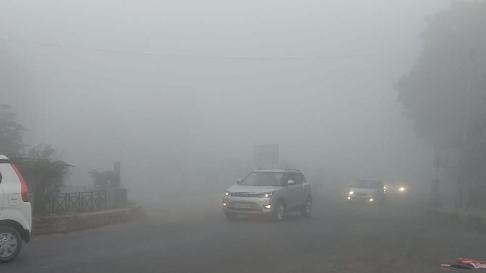Punjab Chandigarh Weather Update news in Hindi