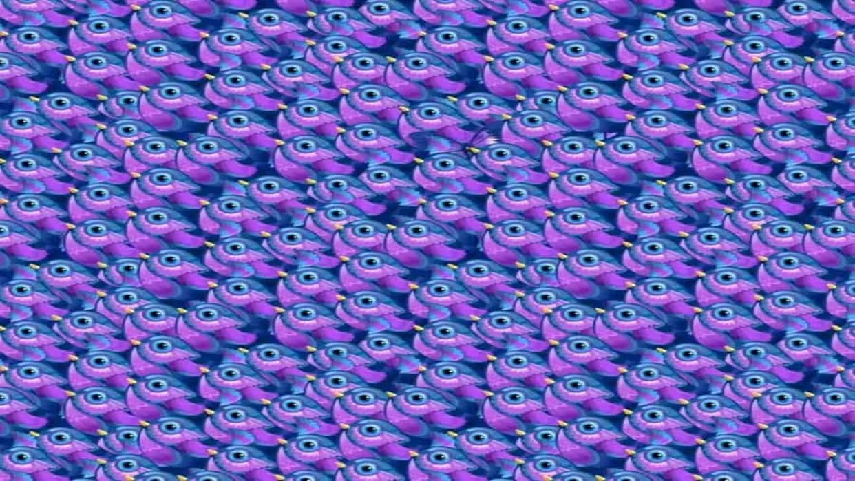 Find a Hidden Butterfly in This Viral Optical Illusion Picture Within 11 Seconds Brain Test Puzzle
