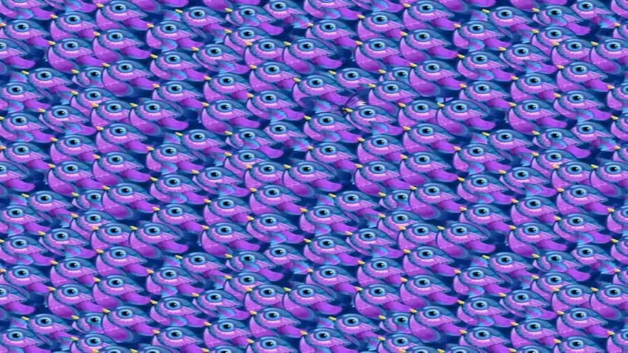 Find a Hidden Butterfly in This Viral Optical Illusion Picture Within 11 Seconds Brain Test Puzzle
