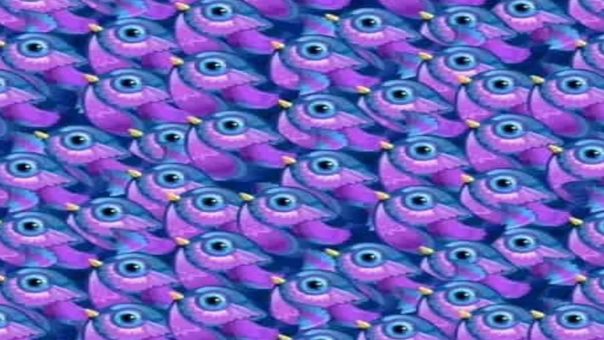 Find a Hidden Butterfly in This Viral Optical Illusion Picture Within 11 Seconds Brain Test Puzzle