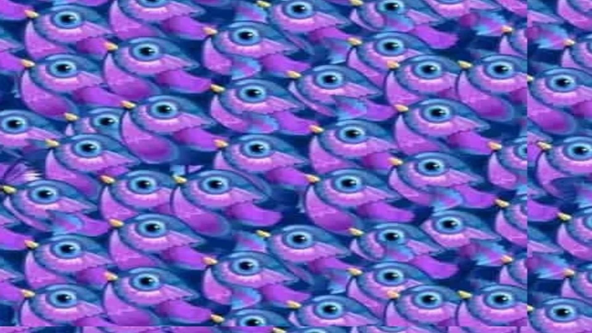 Find a Hidden Butterfly in This Viral Optical Illusion Picture Within 11 Seconds Brain Test Puzzle