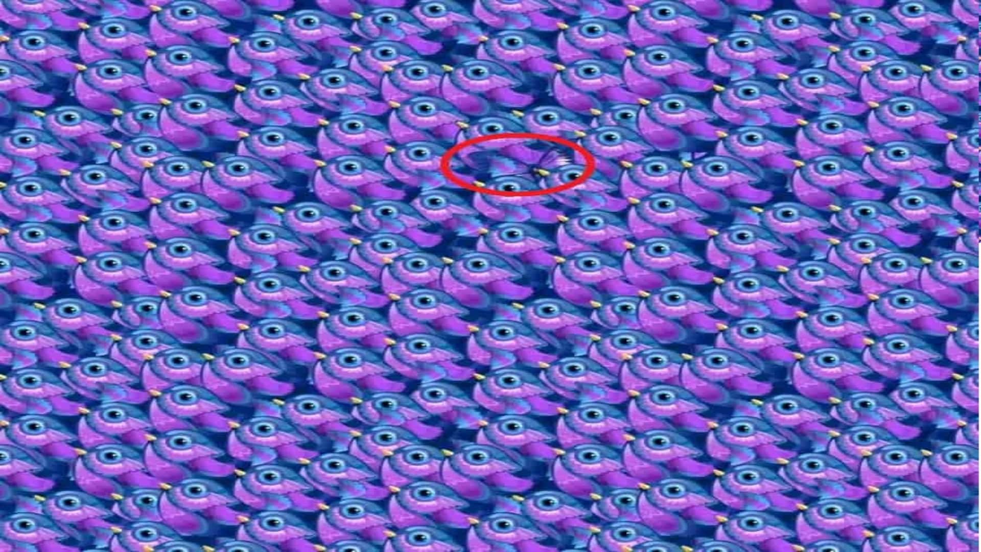Find a Hidden Butterfly in This Viral Optical Illusion Picture Within 11 Seconds Brain Test Puzzle