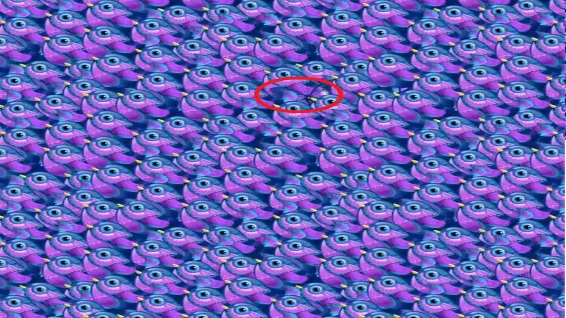 Find a Hidden Butterfly in This Viral Optical Illusion Picture Within 11 Seconds Brain Test Puzzle