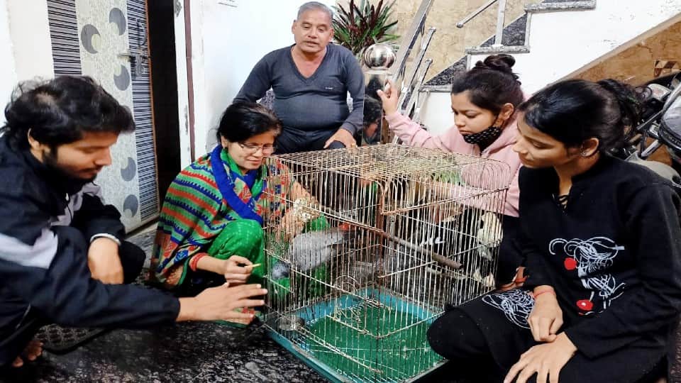 dispute over the ownership of the African parrot reached the police commissioner in Agra
