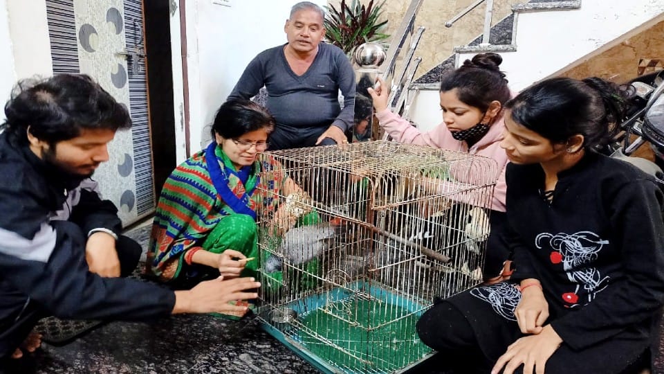 Foreign Parrot solved dispute over the his ownership in police station Agra