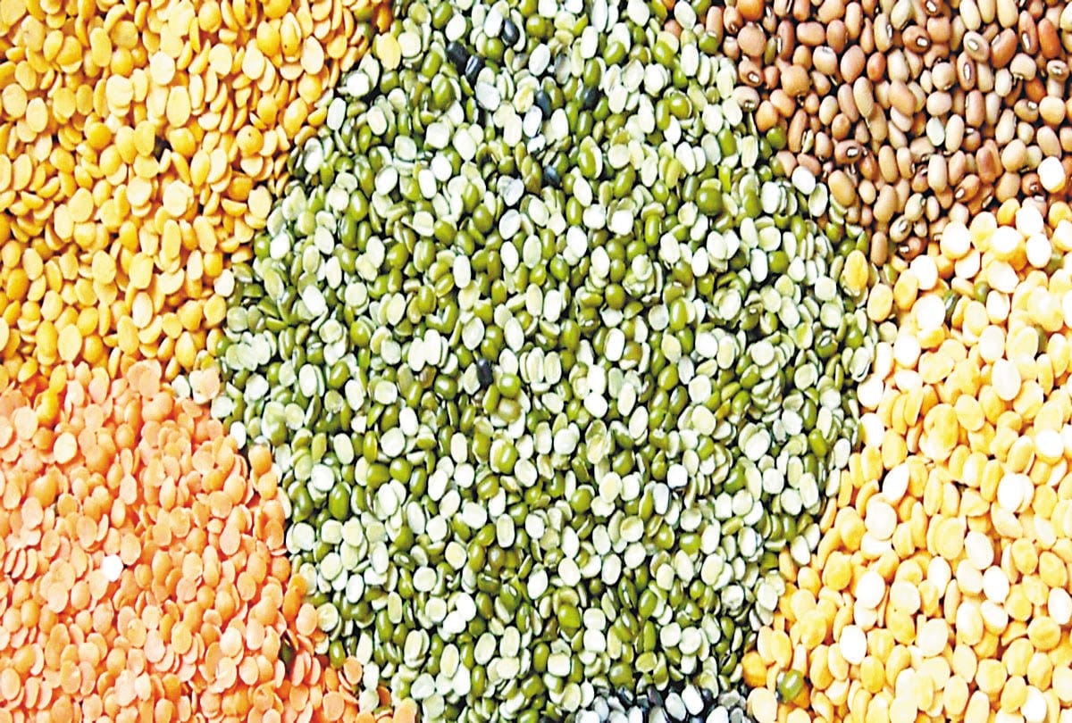 Ration distributed in the name of the dead in Roorkee officer summoned Uttarakhand news in hindi