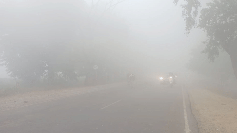 UP Weather Update Meteorological Department released forecast, relief from cold wave in 24 hours