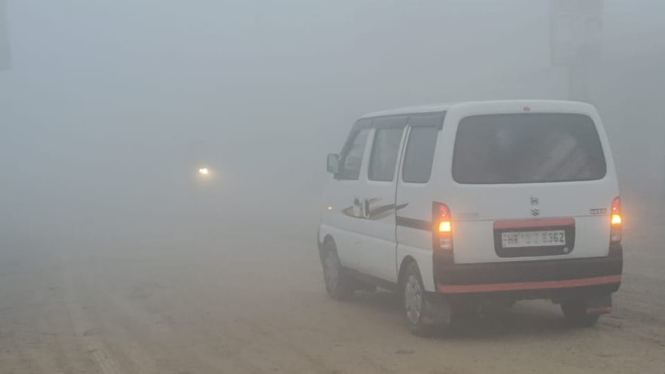 Heavy Fog in Many Districts of Haryana