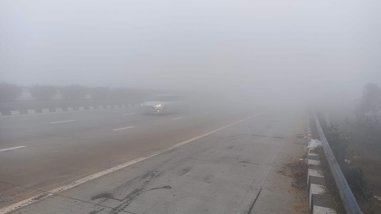 MEERUT:  fog, coldness increased due to falling temperature, beneficial for wheat crop