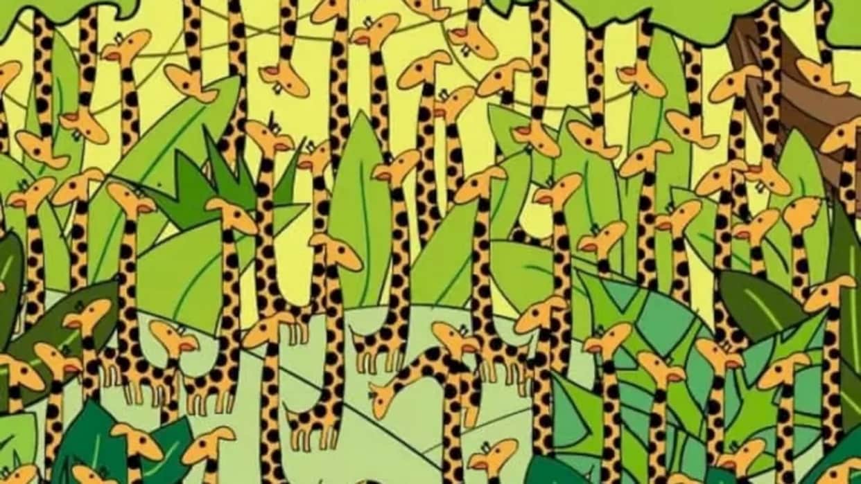 Optical Illusion IQ Test: Find the Hidden Snake in the Giraffe Within 15 Second puzzle games