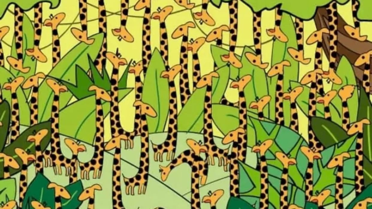 Optical Illusion IQ Test: Find the Hidden Snake in the Giraffe Within 15 Second puzzle games
