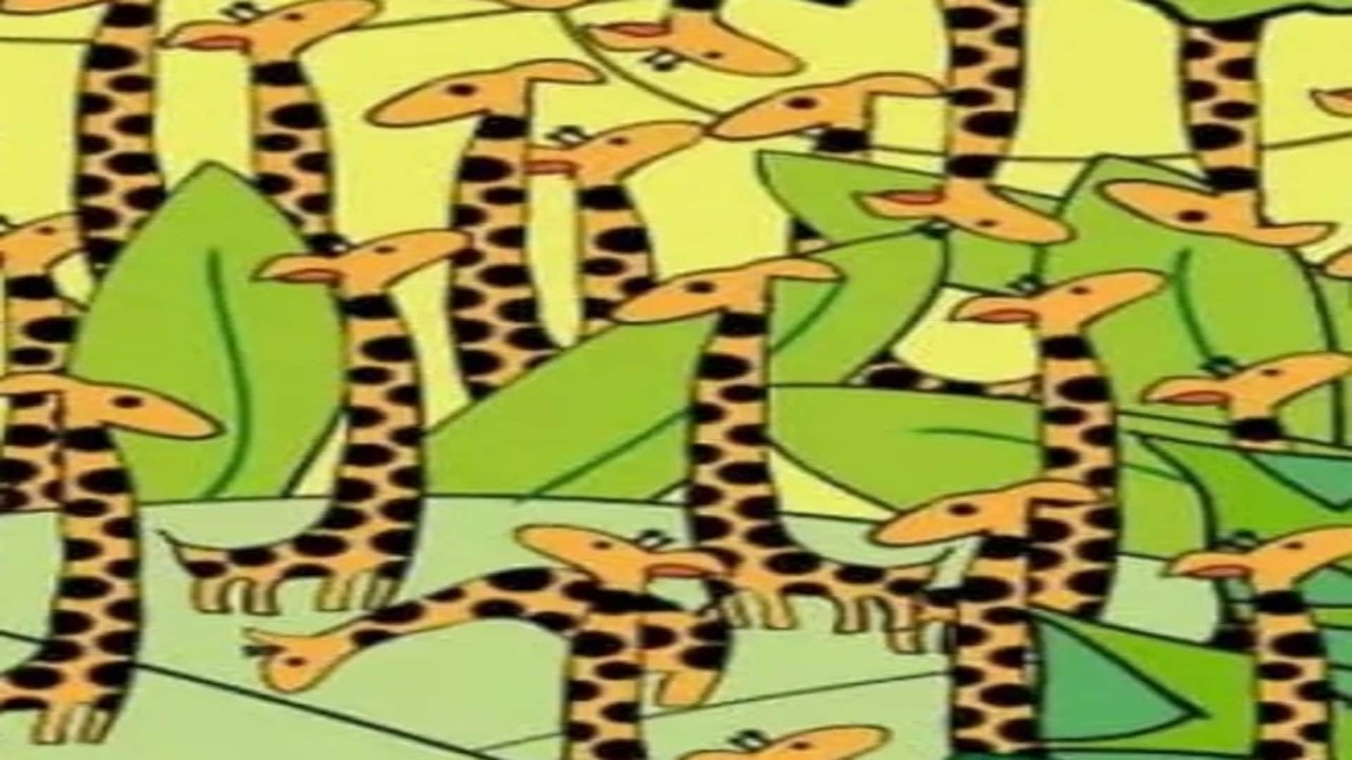 Optical Illusion IQ Test: Find the Hidden Snake in the Giraffe Within 15 Second puzzle games
