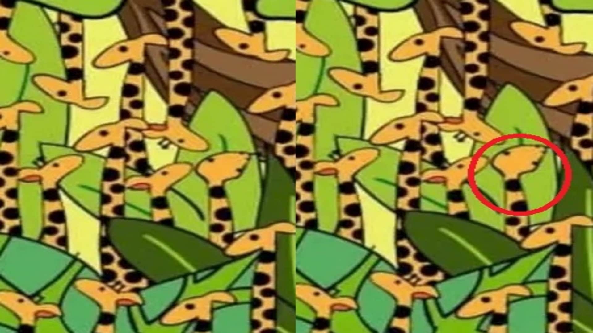 Optical Illusion IQ Test: Find the Hidden Snake in the Giraffe Within 15 Second puzzle games