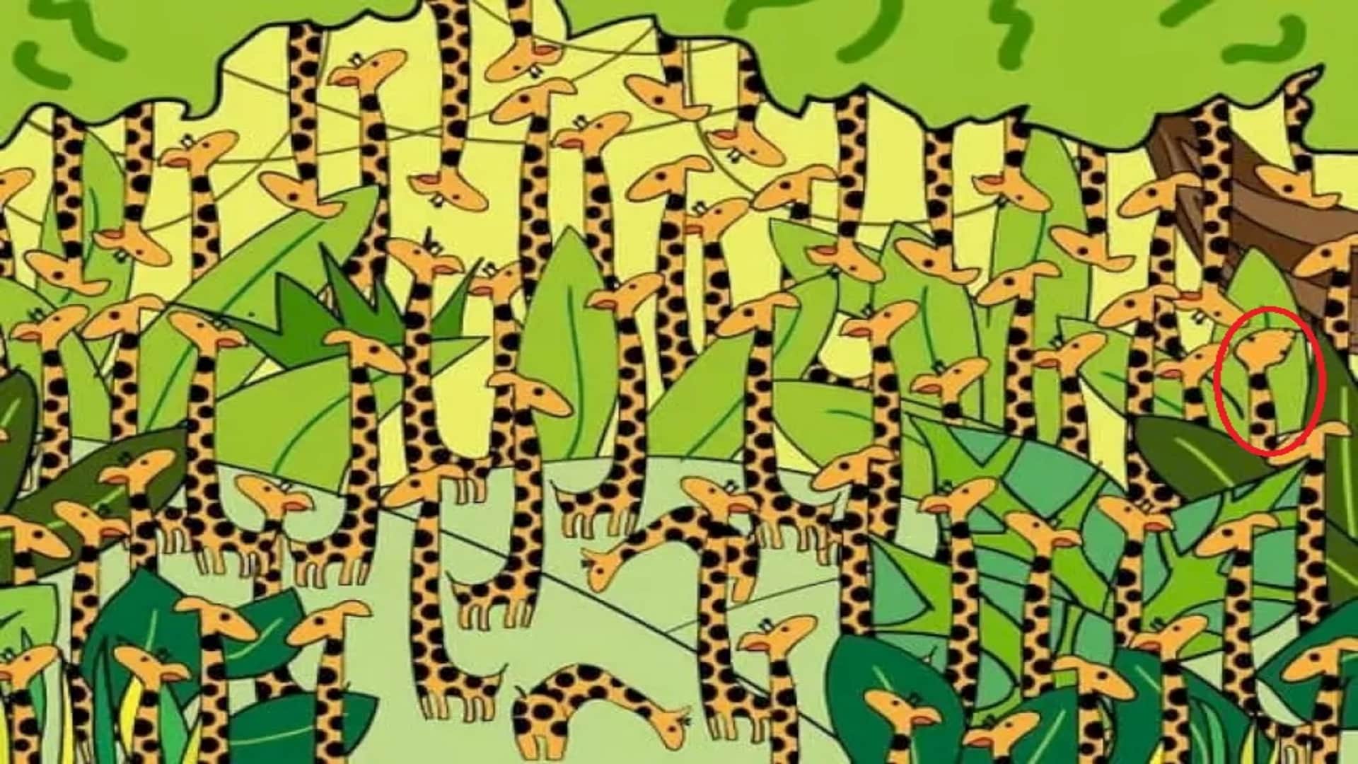 Optical Illusion IQ Test: Find the Hidden Snake in the Giraffe Within 15 Second puzzle games