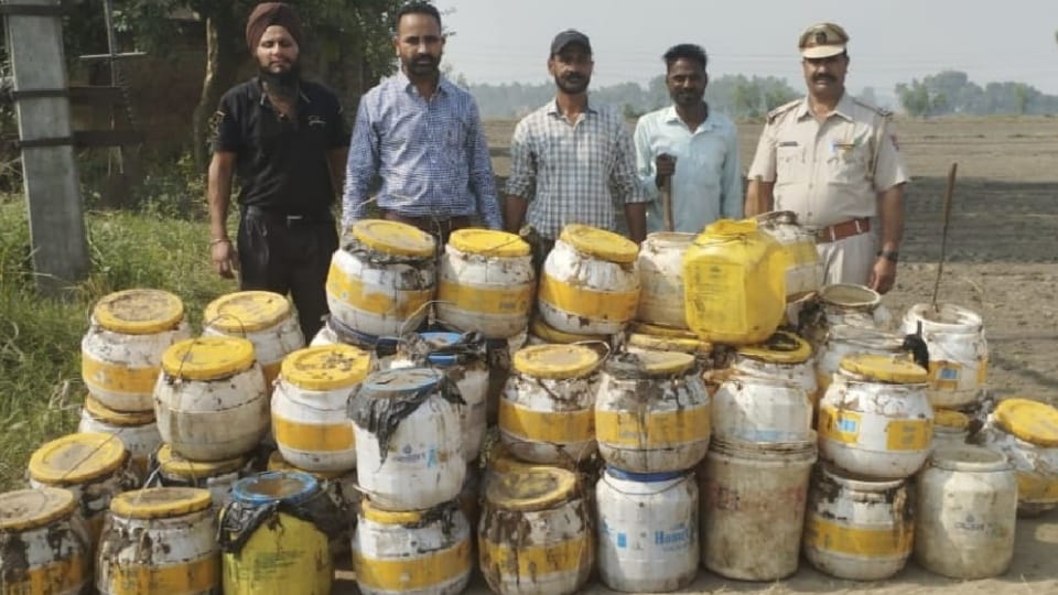 Illegal liquor is manufactured in 45 villages situated on banks of Sutlej river in Jalandhar