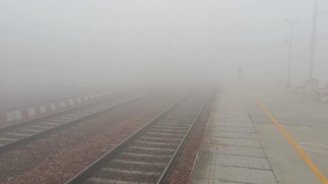 Accidents in Haryana due to dense fog, weather forecast for next five days