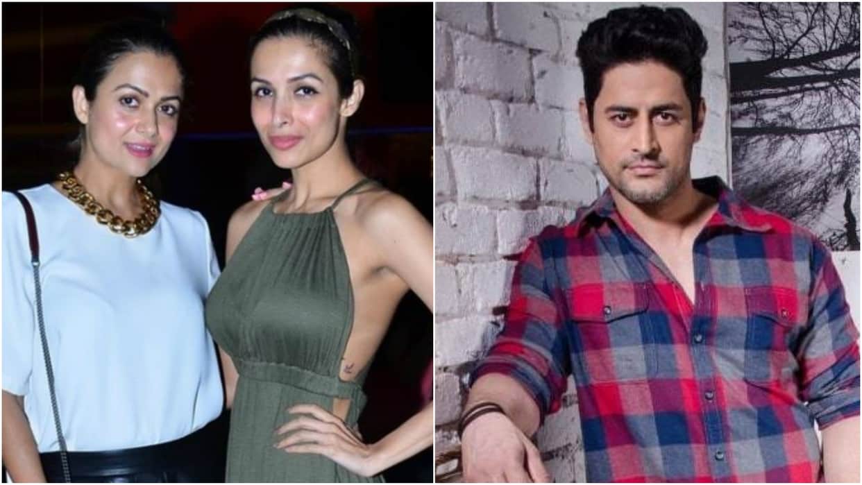 Filmy Wrap mohit raina on divorce rumors amrita arora malaika arora fought dipika kakar pregnant urfi javed