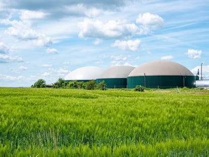 Biogas plant in Varanasi Will be ready at a cost of Rs 48 lakh, 20 houses will get gas supply