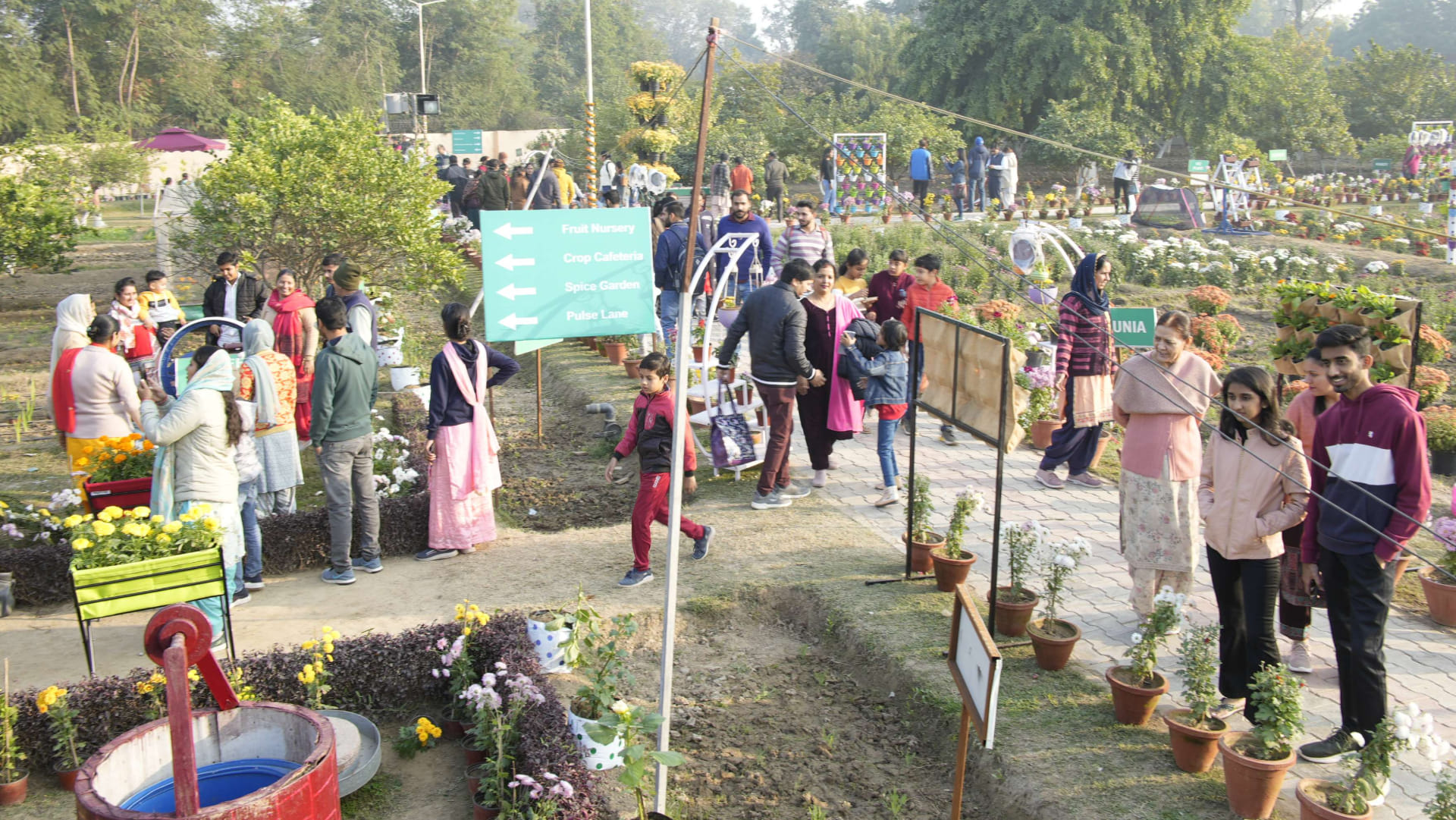 Urban Farming Expo and Flower Festival 2022 organized at Haryana Agricultural University