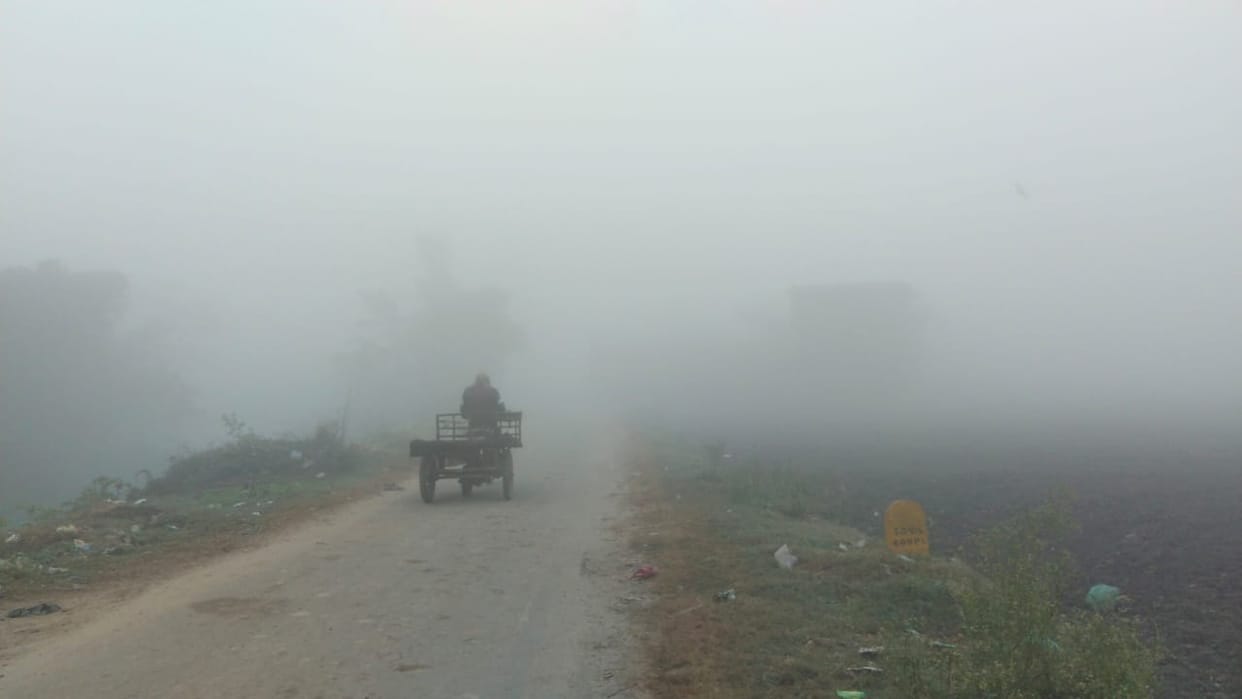 Up weather news: cold weather in Western up due to heavy fog