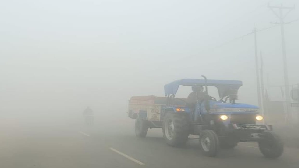 Himachal Weather clear for five days: Plains and low altitude districts in grip of cold wave,