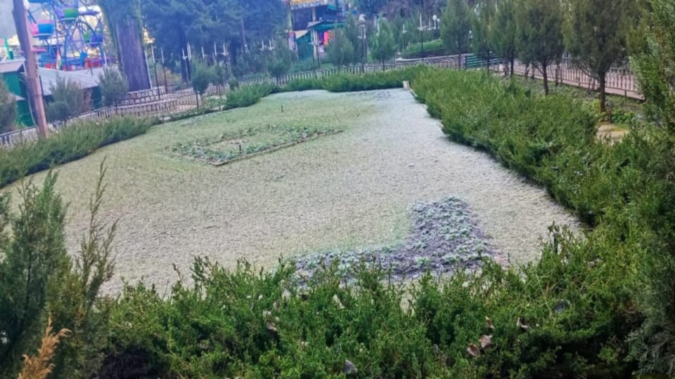 Uttarakhand weather: Mussoorie Company garden Frozen due to frost snowfall Expected after Christmas