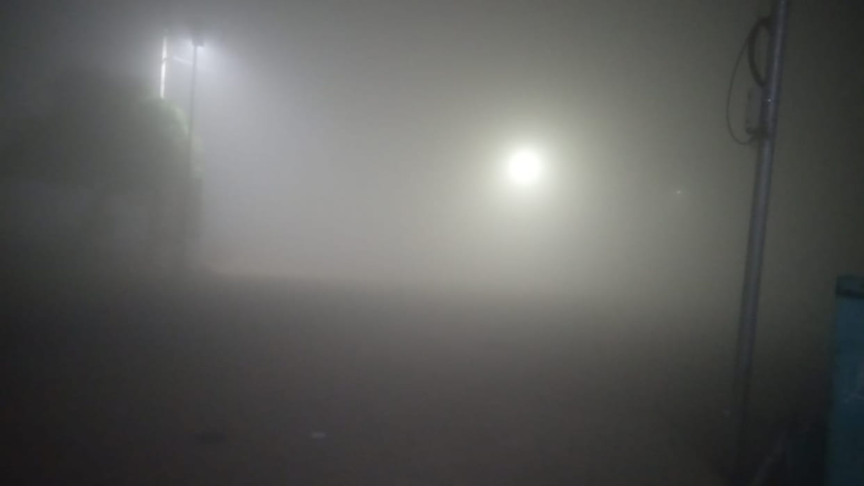 Yellow and orange alert of fog and cold wave till December 24 in Haryana