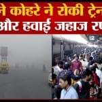 गोरखपुर में कोहरा।