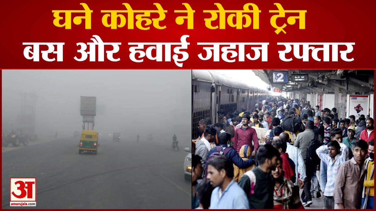 गोरखपुर में कोहरा।