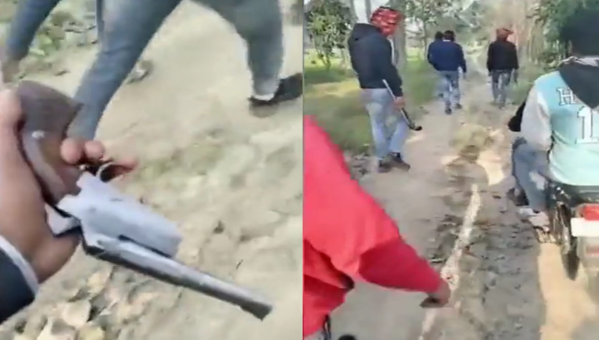 more than dozen youth seen with illegal weapons in Saharanpur, video viral