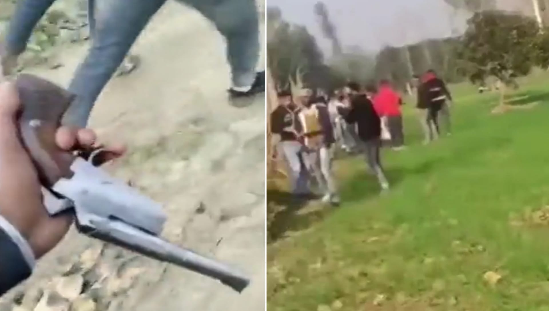 more than dozen youth seen with illegal weapons in Saharanpur, video viral