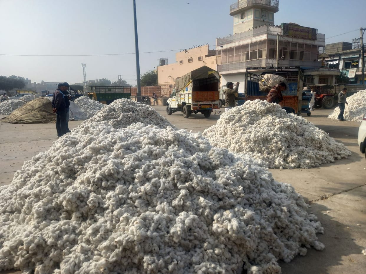 Cotton arrivals decreased by 57 percent this year