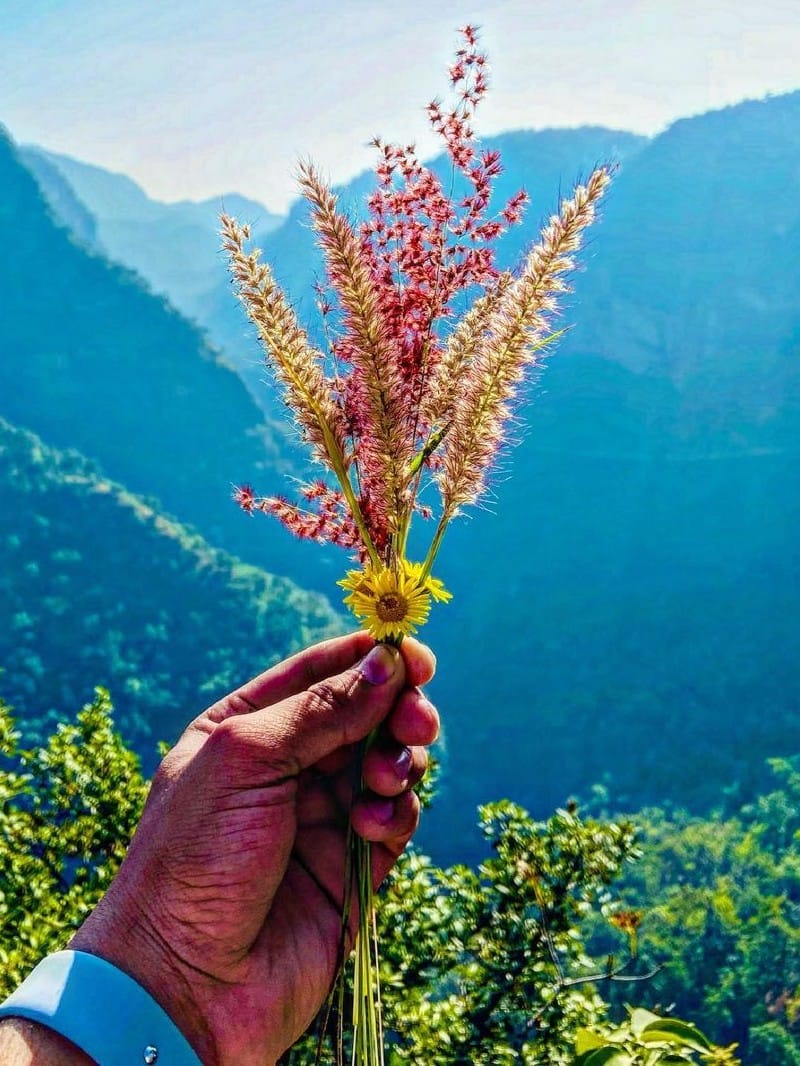 पचमढ़ी