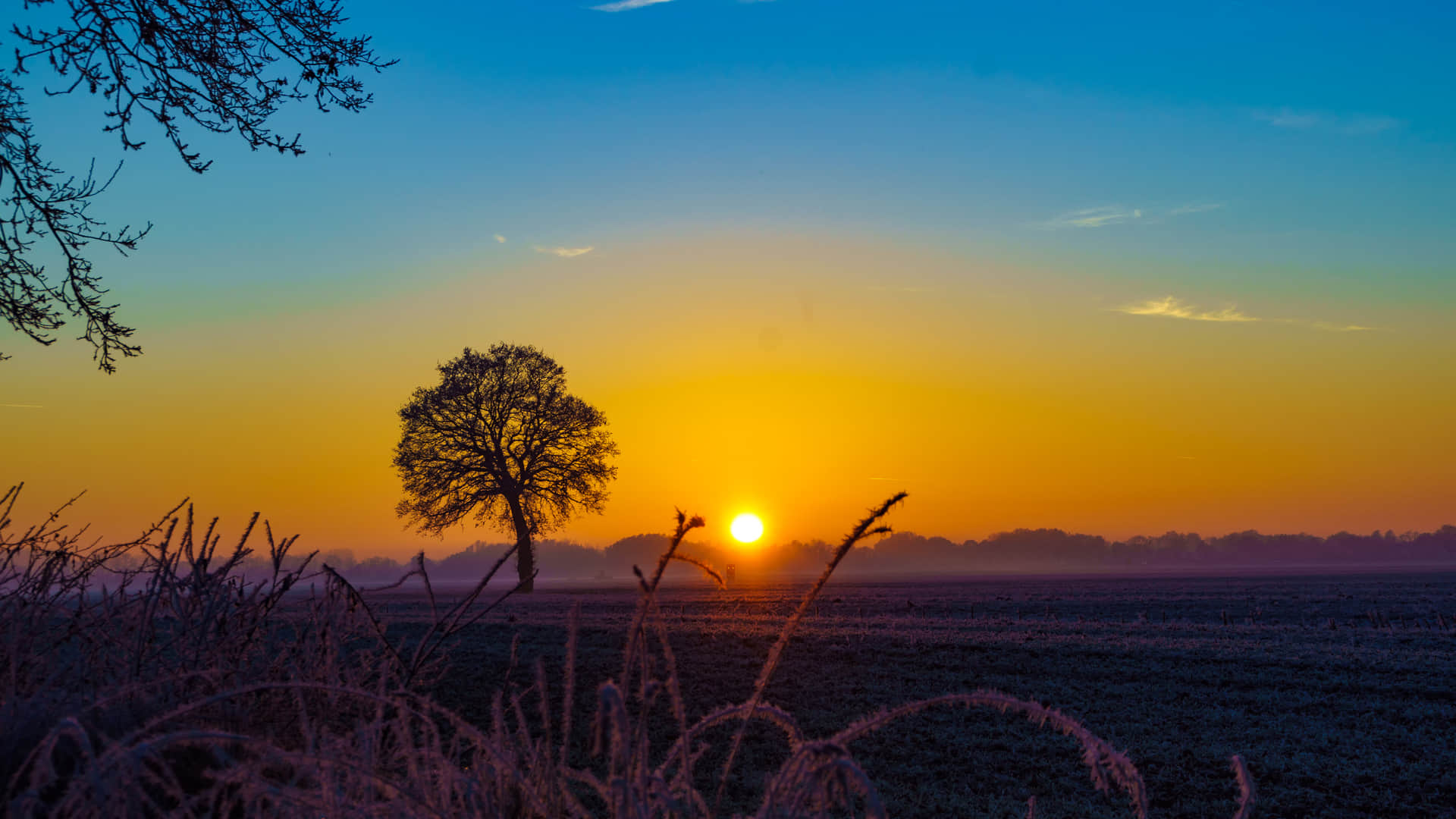 Shortest Day Of The Year 22 december the shortest day of the year winter solstice 2022 know interesting facts