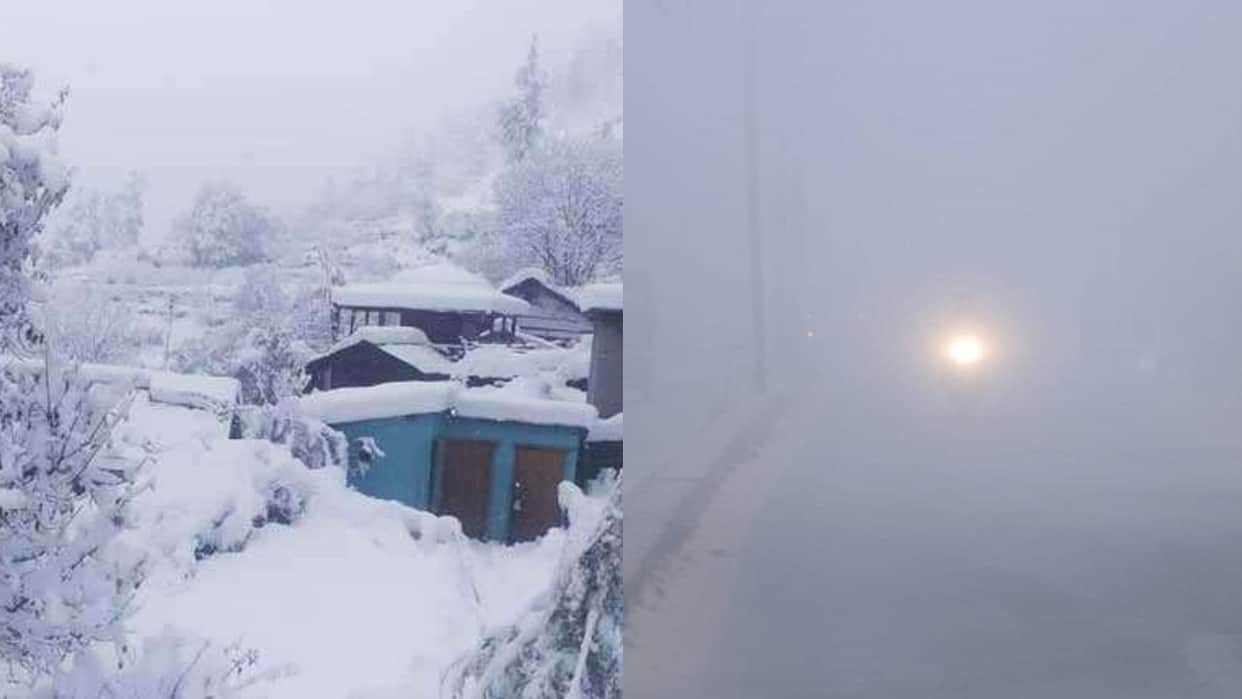 Weather Update of four days: Snow-frozen Ladakh-Srinagar, fog wreaks havoc in North India