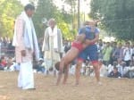 सरीला के चंडौत में अखाड़े में दांवपेंच दिखाते पहलवान। संवाद