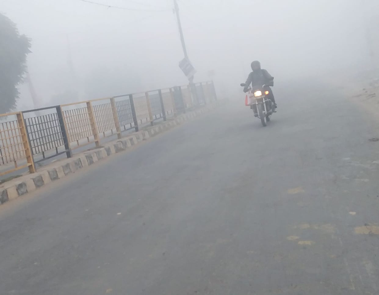 The cold intensified with the fog, the sun came out in the afternoon.