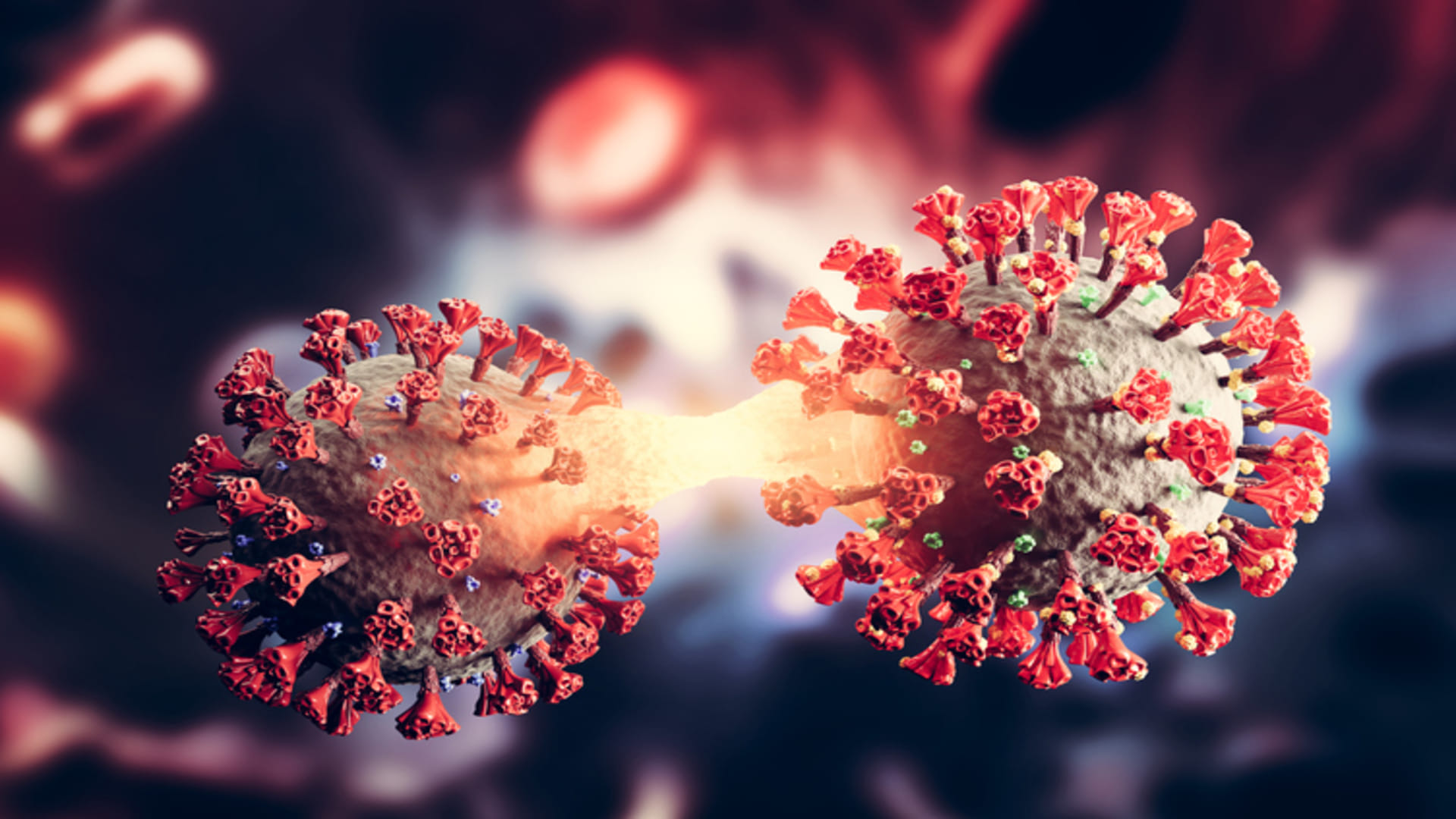 Coronavirus Update How Dangerous Is Covid Xbb.1.5 Omicron Variant For India Know its severity and details