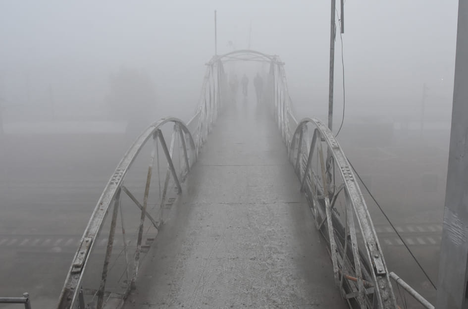 Cold increased due to fog and cold wave, mercury 5.5 degree Celsius
