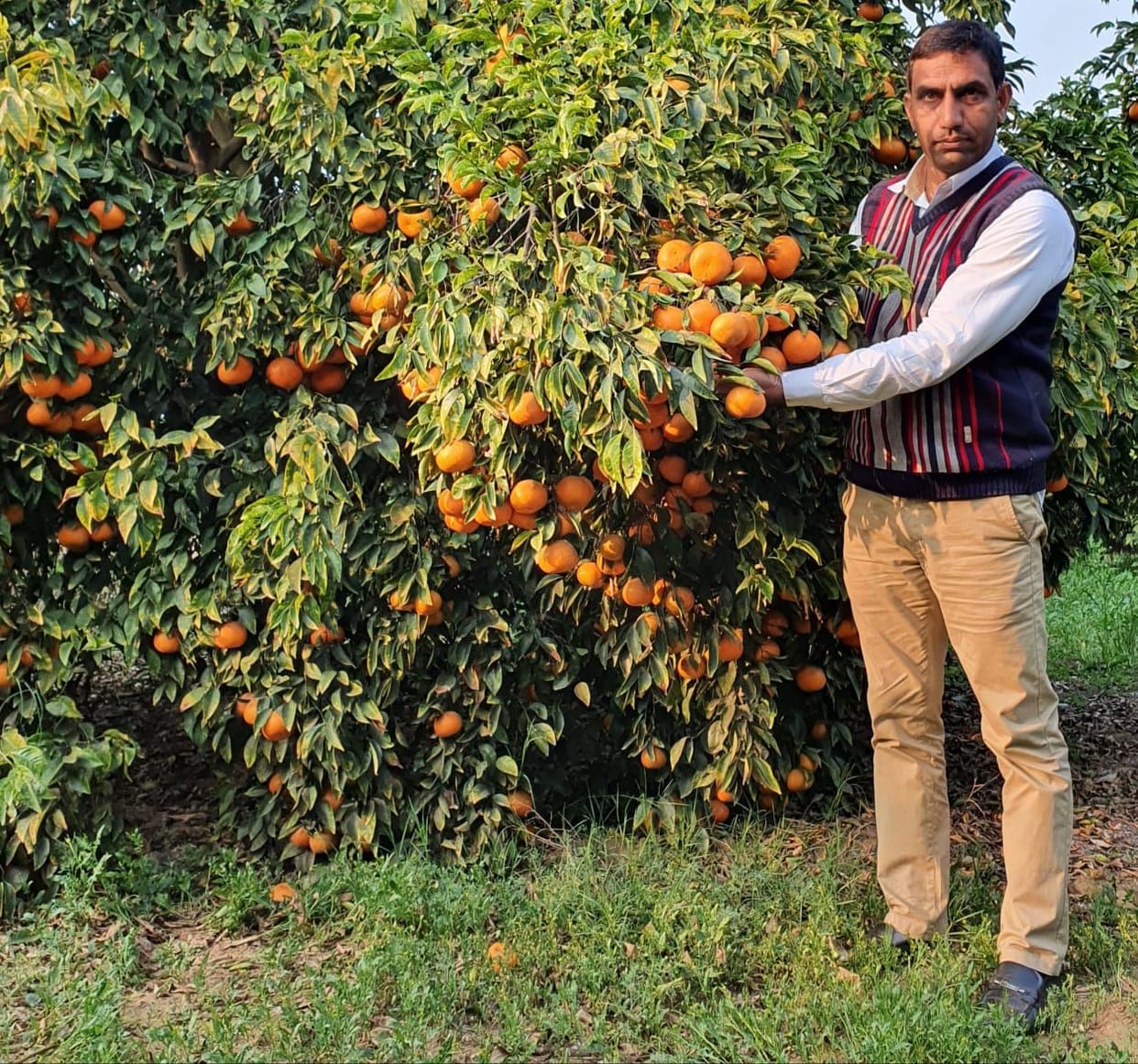 Farmer's Day special: Virendra Sahu's nursery prepared plants are in demand in many states