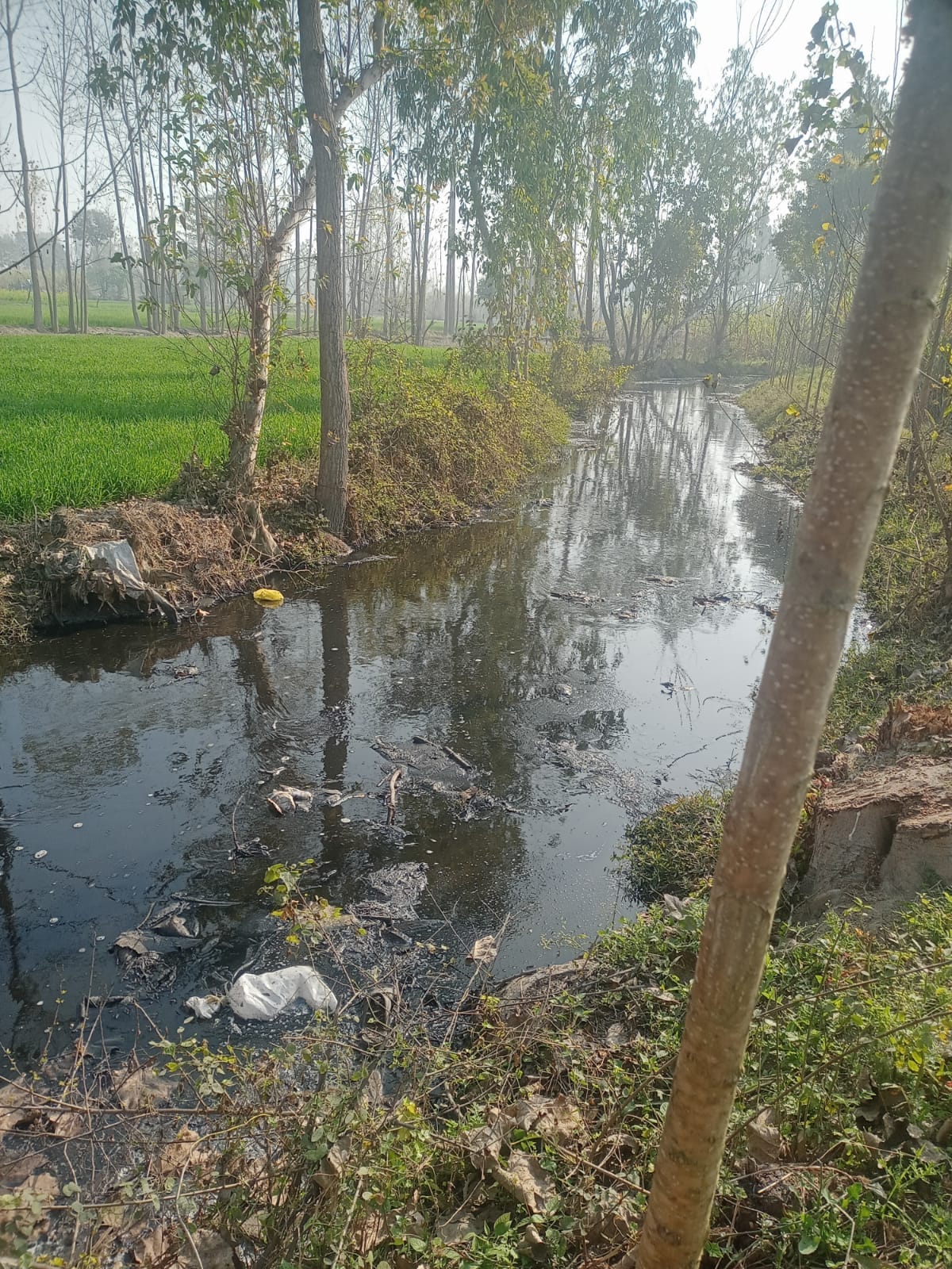 Villagers preparing to go to court regarding dirty drain falling in Krishna river
