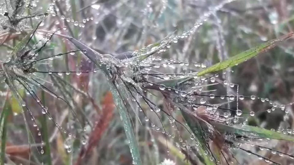 Cold increased in Chilfi Valley of Mini Shimla Kawardha