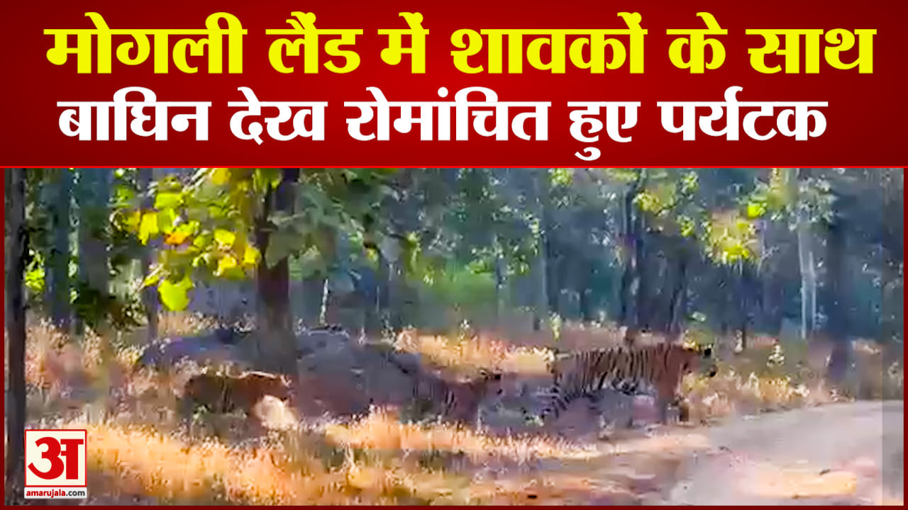 पेंच नेशनल पार्क