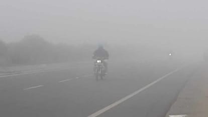 Punjab Weather:प्रदेश में चार दिन छाएगी घनी धुंध, फरीदकोट सबसे ठंडा, लगातार दूसरे दिन 0.8 डिग्री की गिरावट – Punjab Weather: Dense Fog Will Prevail In The State For Four Days, Faridkot Is The Coldest