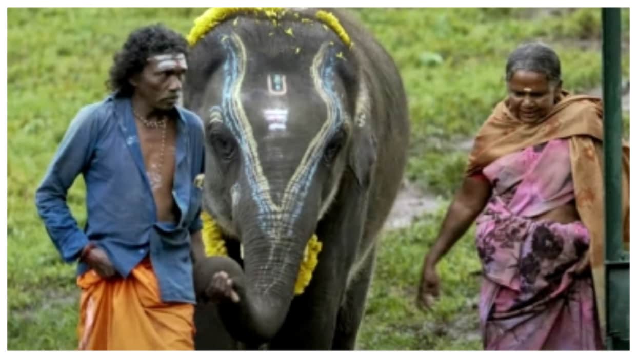95th Academy Awards: The Elephant Whisperers enter oscars 2023 shortlist film based on a South Indian couple