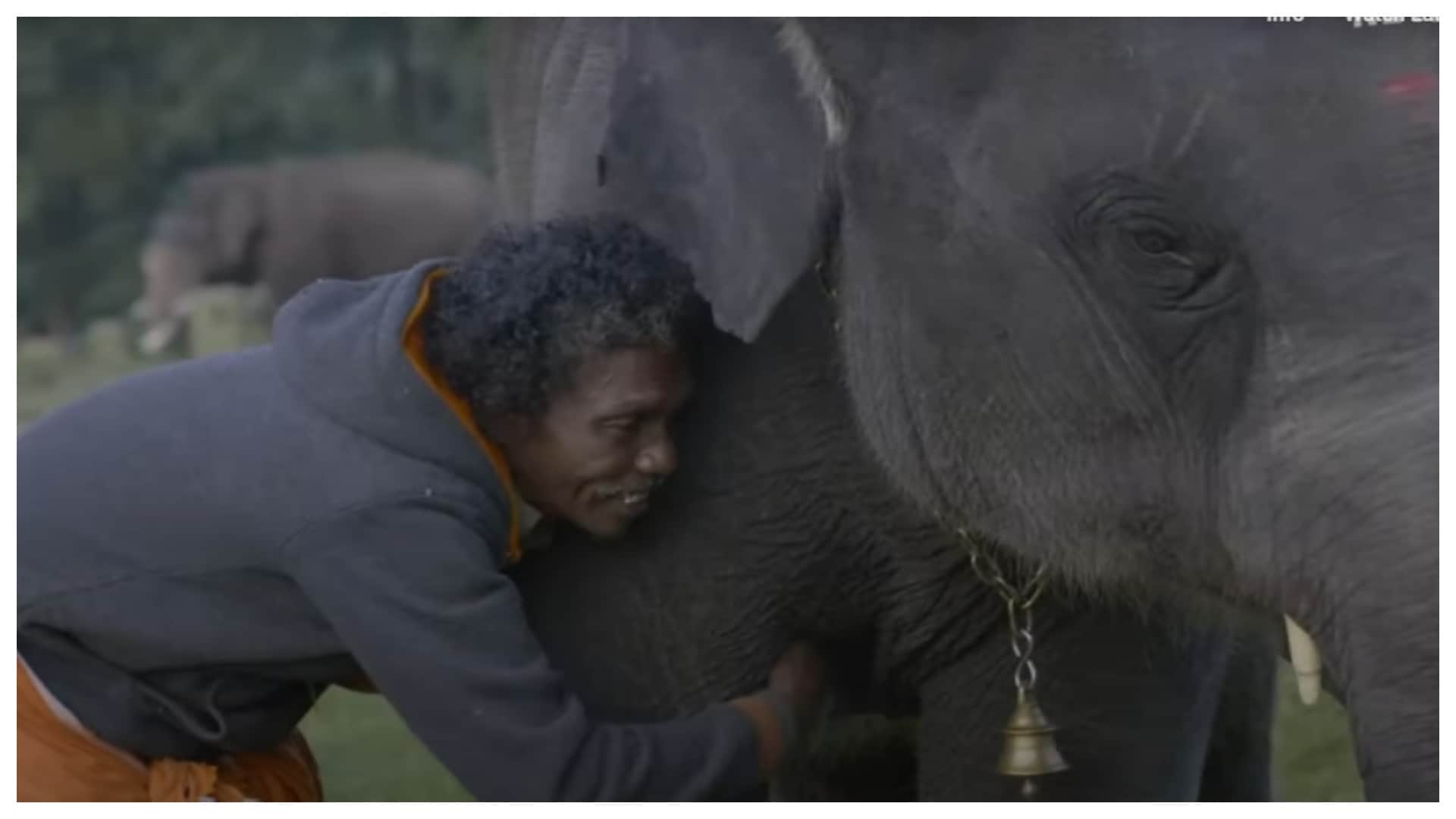 95th Academy Awards: The Elephant Whisperers enter oscars 2023 shortlist film based on a South Indian couple