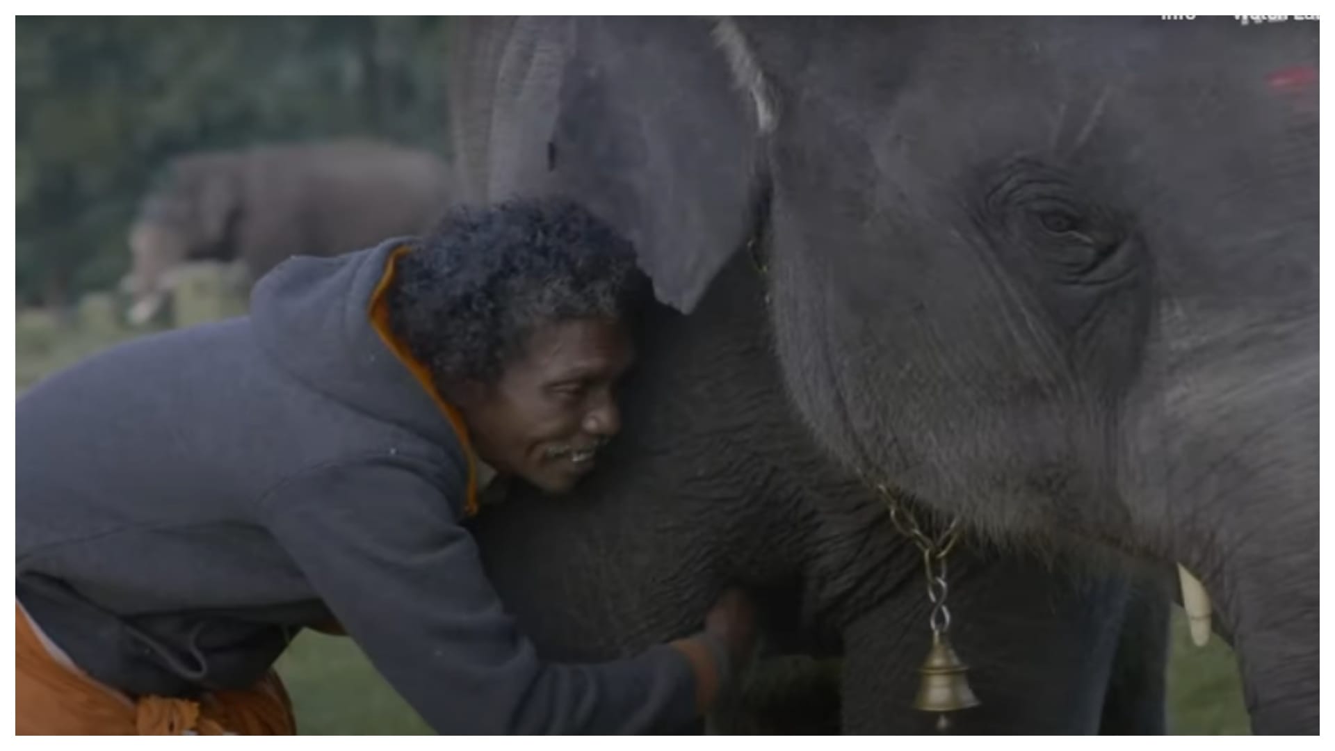 95th Academy Awards: The Elephant Whisperers enter oscars 2023 shortlist film based on a South Indian couple