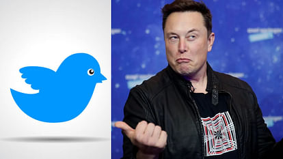 Twitter will let publishers charge users on a per article bases said Elon Musk know all details