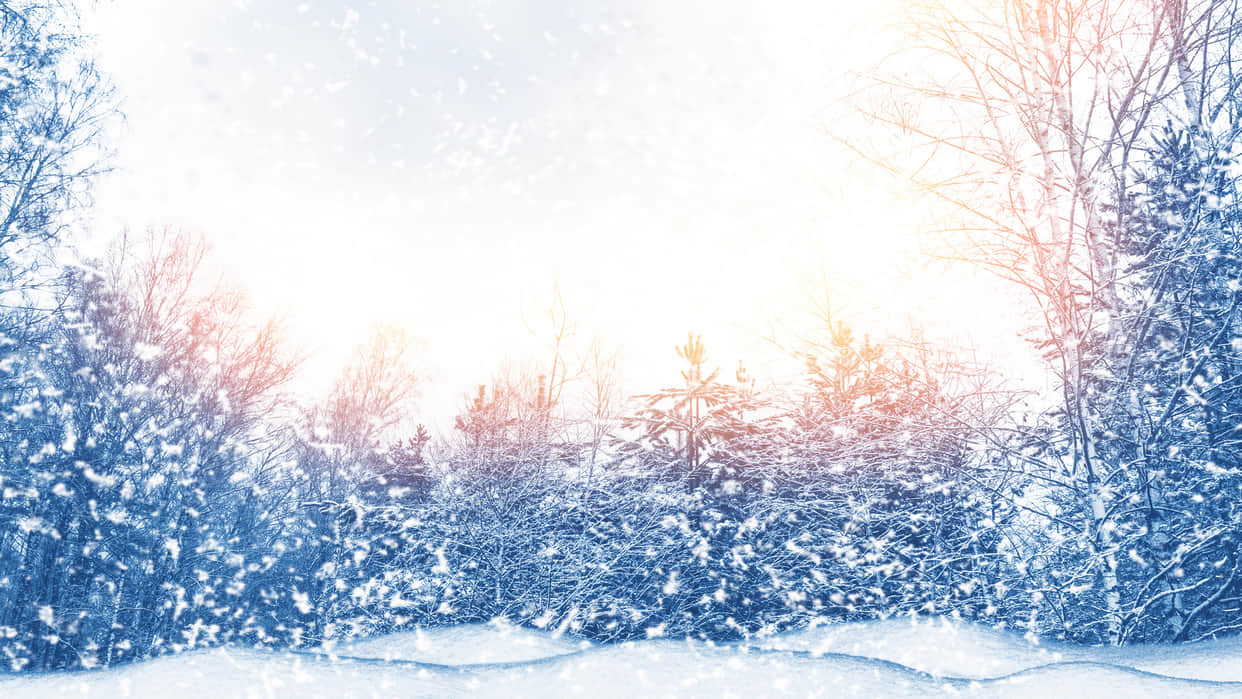 winter solstice 2022 december shortest day earth increase cold know About winter solstice