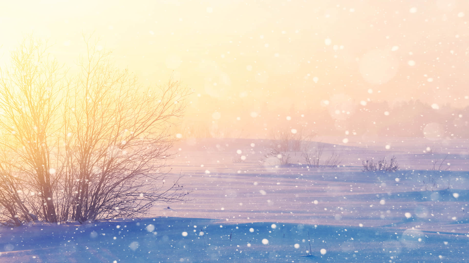 winter solstice 2022 december shortest day earth increase cold know About winter solstice